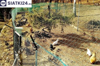 Siatki Góra Kalwaria - Siatka na woliery - zabezpieczenia ptaków w hodowli dla terenów Góry Kalwarii